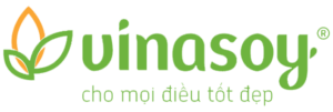 logo-vinasoy