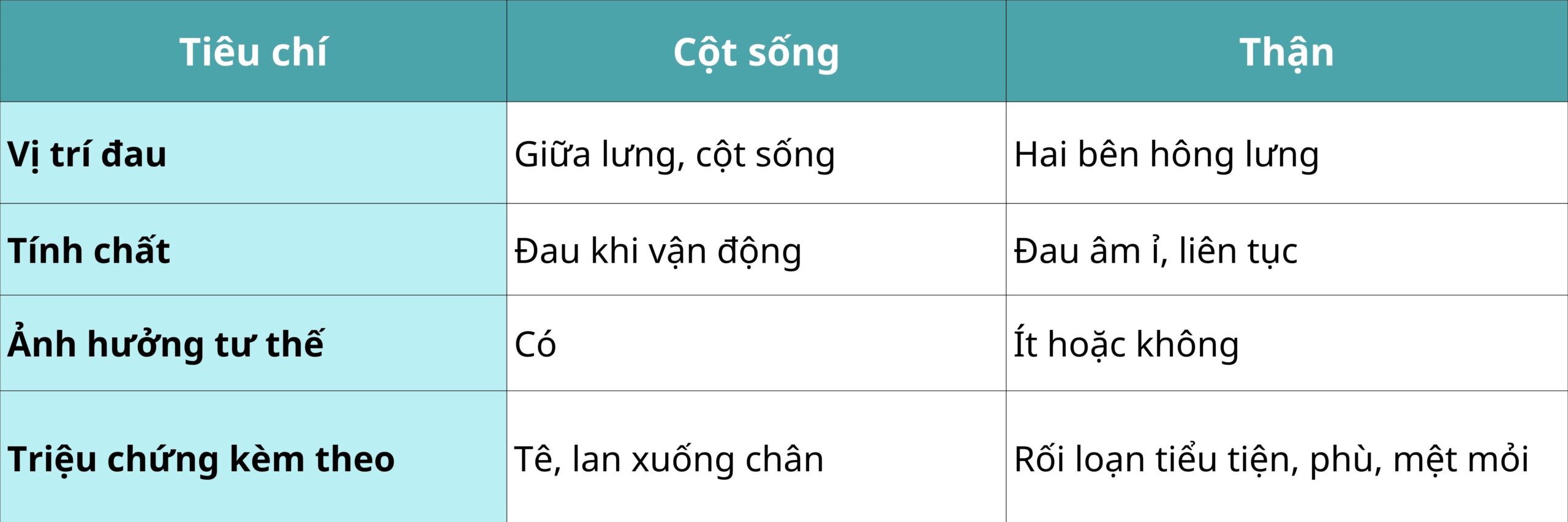 phan-biet-dau-lung-do-than-va-do-cot-song-viet-my-clinic-vmc-5