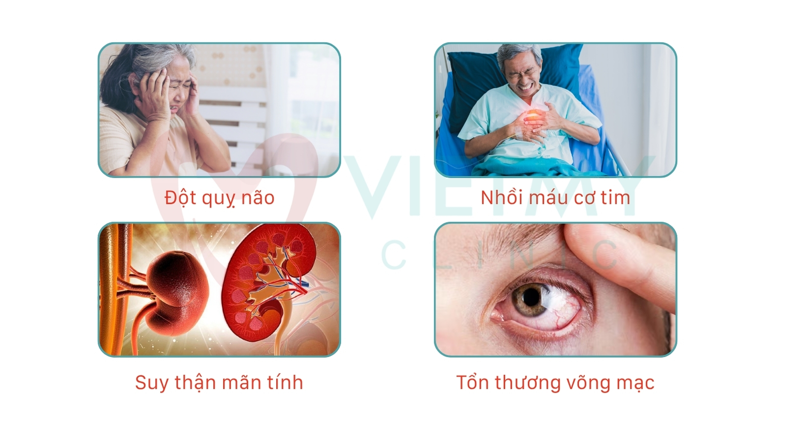 moi-lien-he-giua-tang-huyet-ap-va-roi-loan-mo-mau-viet-my-clinic-vmc-2